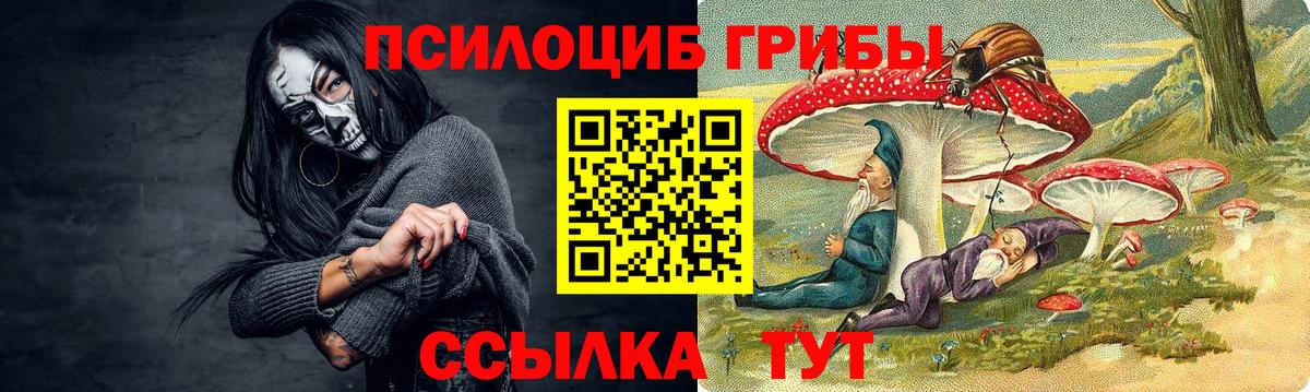 Псилоцибиновые грибы Cubensis Кызыл