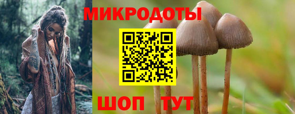 Кызыл  Псилоцибиновые грибы Magic Shrooms  сколько стоит  Вход с VPN 